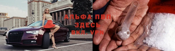 твердый Алексеевка