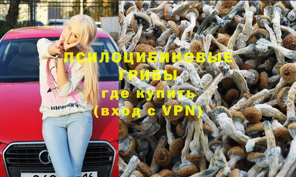 MESCALINE Алзамай