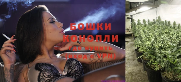 стафф Нефтегорск