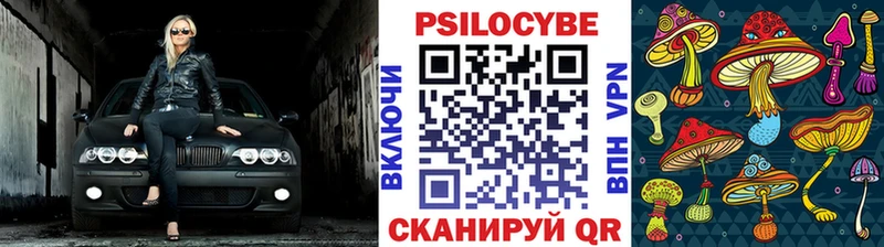 Галлюциногенные грибы Psilocybine cubensis Ставрополь